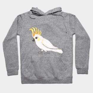 Sulphur crested cockatoo Hoodie